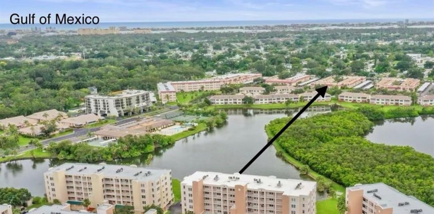 Condo in Saint Petersburg, Florida, 1 bedroom  № 2225610