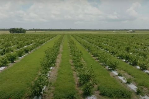 Terreno en venta en Frostproof, Florida № 1547935 - foto 17