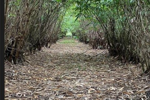 Terreno en venta en Frostproof, Florida № 1547935 - foto 2