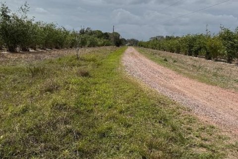 Terreno en venta en Frostproof, Florida № 1547935 - foto 5