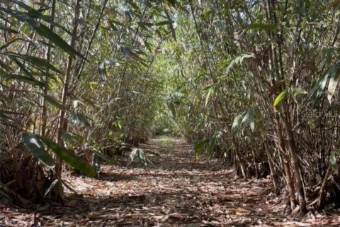 Terreno en venta en Frostproof, Florida № 1547935 - foto 3