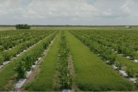 Terreno en venta en Frostproof, Florida № 1547935 - foto 16