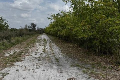 Terreno en venta en Frostproof, Florida № 1547935 - foto 6