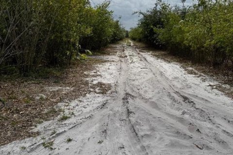 Terreno en venta en Frostproof, Florida № 1547935 - foto 7