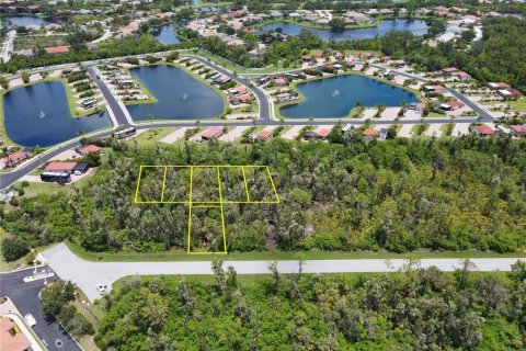 Land in Port Charlotte, Florida № 1828432 - photo 4