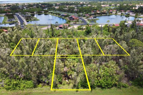 Land in Port Charlotte, Florida № 1828432 - photo 1