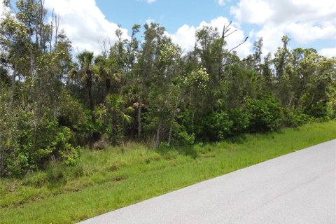 Land in Port Charlotte, Florida № 1828432 - photo 15