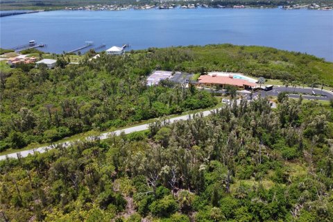 Land in Port Charlotte, Florida № 1828432 - photo 9