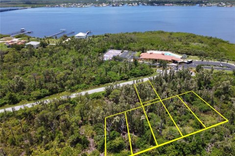 Land in Port Charlotte, Florida № 1828432 - photo 8