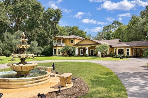 Villa ou maison à vendre à Kissimmee, Floride: 5 chambres, 457.92 m2 № 2431766 - photo 3