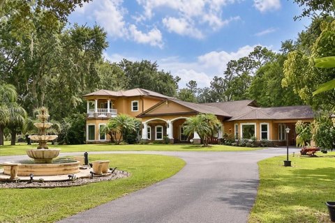 Villa ou maison à Kissimmee, Floride 5 chambres, 457.92 m2 № 2431766