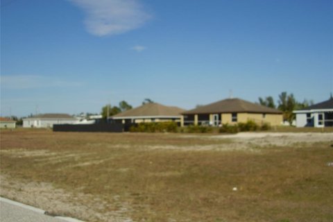 Land in Cape Coral, Florida № 215235 - photo 7