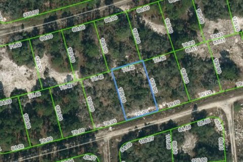 Land in Lake Placid, Florida № 2223939