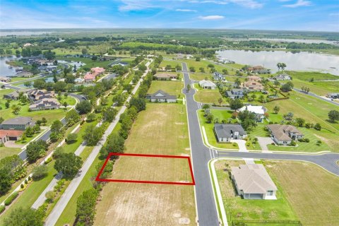 Land in Lake Alfred, Florida № 1776713 - photo 4