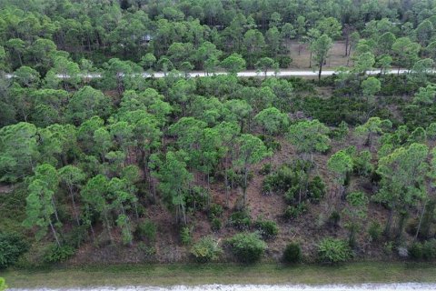 Land in Punta Gorda, Florida № 2202960 - photo 2