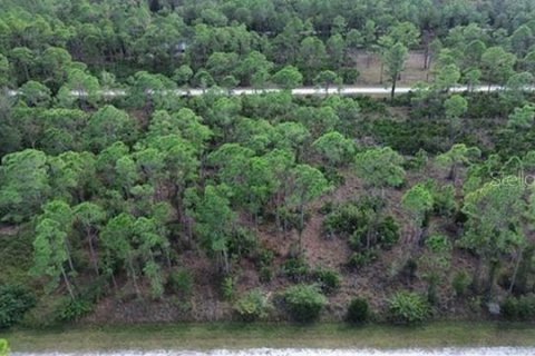 Land in Punta Gorda, Florida № 2202960 - photo 4