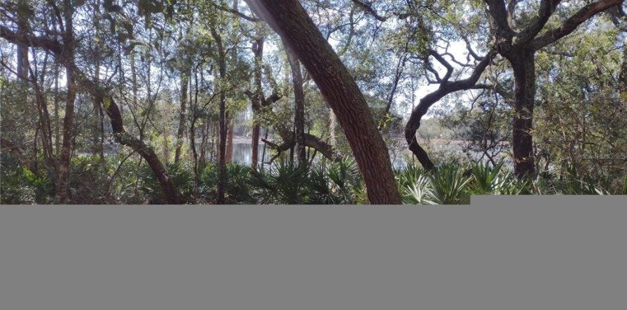Land in Melrose, Florida № 1522308