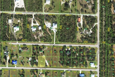 Terrain à vendre à Punta Gorda, Floride № 2160292 - photo 4