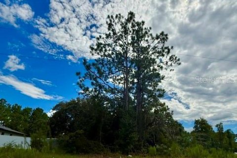 Land in Ocala, Florida № 2352459