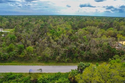 Land in Port Charlotte, Florida № 2228542 - photo 6