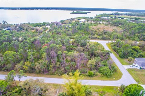 Land in Port Charlotte, Florida № 2228542 - photo 8