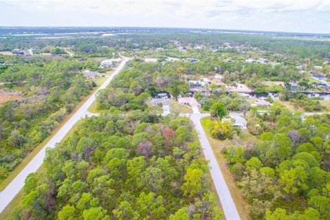 Land in Port Charlotte, Florida № 2228542 - photo 3