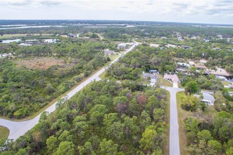 Land in Port Charlotte, Florida № 2228542 - photo 5