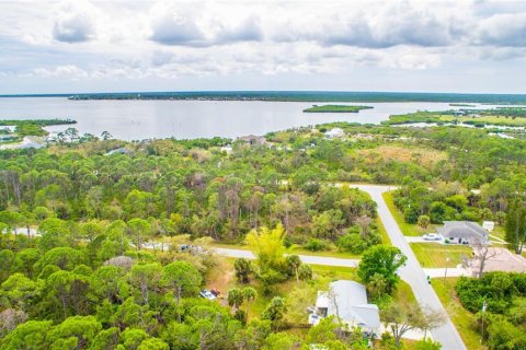 Land in Port Charlotte, Florida № 2228542 - photo 2