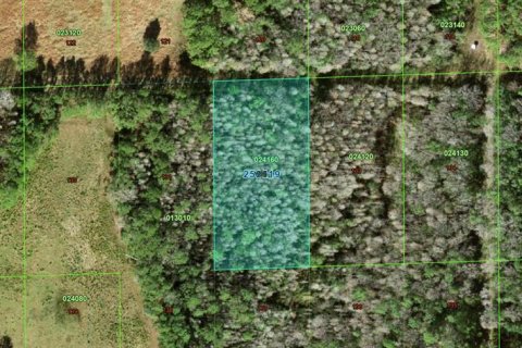 Land in Polk City, Florida № 2159889