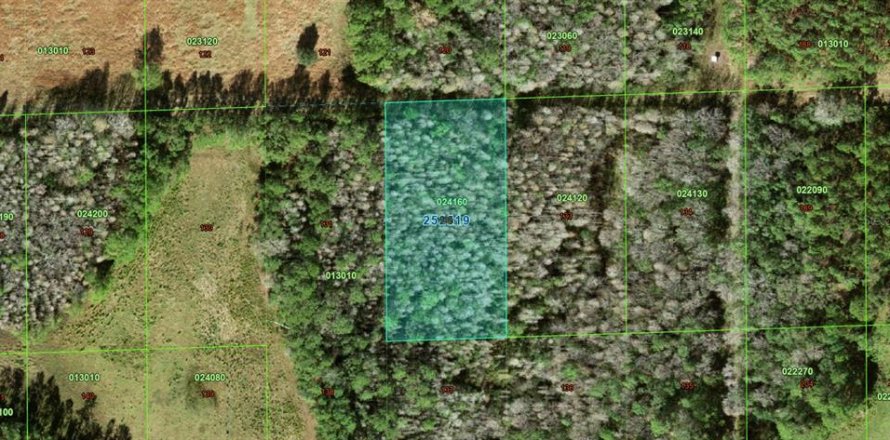Land in Polk City, Florida № 2159889