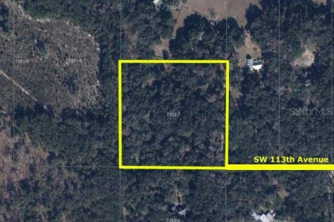 Land in Gainesville, Florida № 2321616 - photo 7