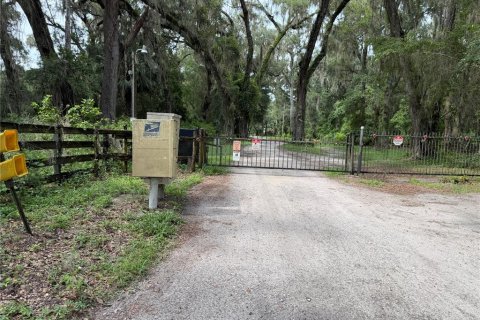 Land in Gainesville, Florida № 2321616 - photo 5