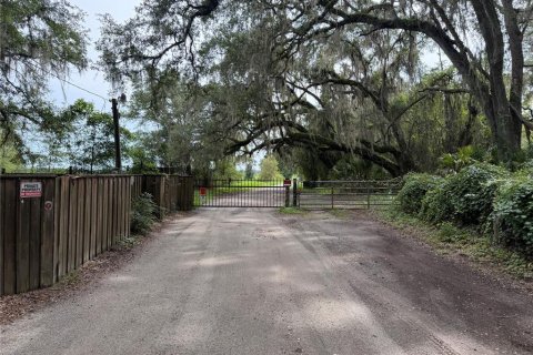 Land in Gainesville, Florida № 2321616 - photo 3
