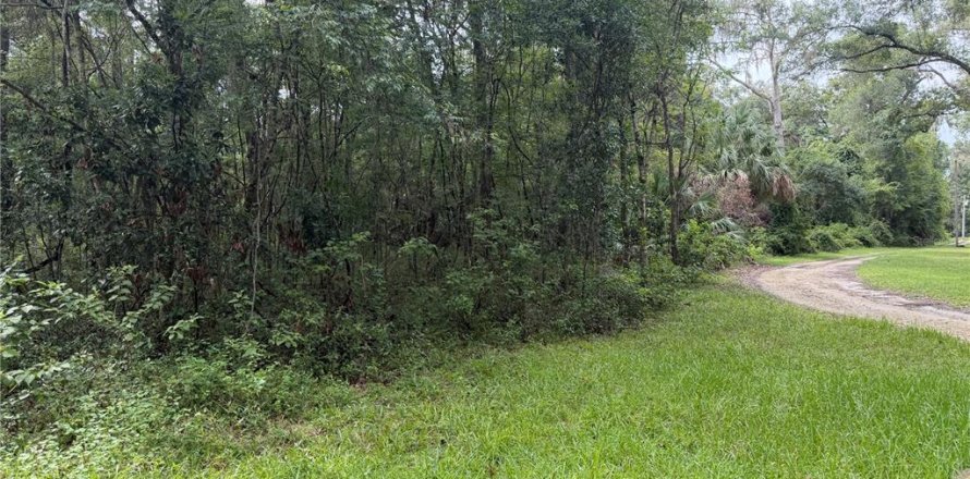 Land in Gainesville, Florida № 2321616