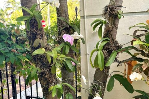 Condo in Miami Beach, Florida  № 2068878 - photo 8