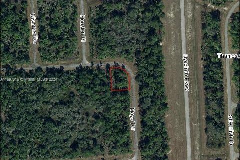 Terreno en LaBelle, Florida № 2158605