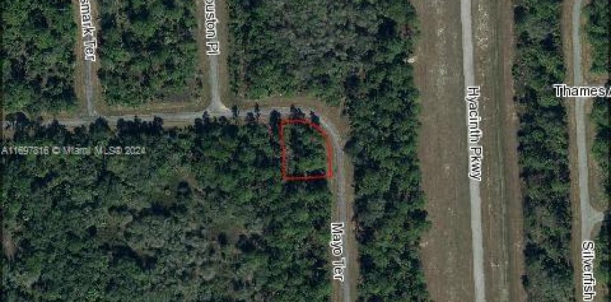 Land in LaBelle, Florida № 2158605