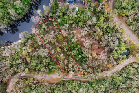 Terreno en venta en Brandon, Florida № 1567839 - foto 25
