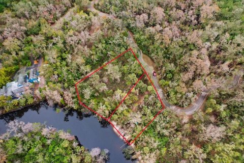 Terreno en venta en Brandon, Florida № 1567839 - foto 21