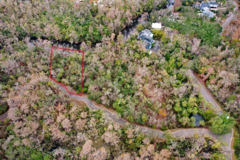 Terreno en venta en Brandon, Florida № 1567839 - foto 17