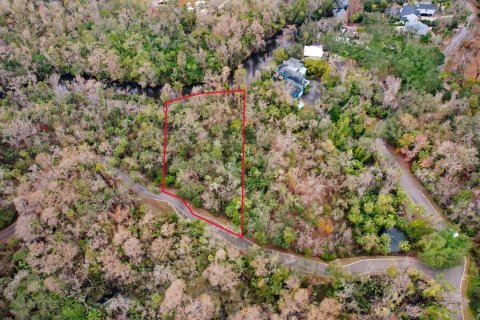 Terreno en venta en Brandon, Florida № 1567839 - foto 19