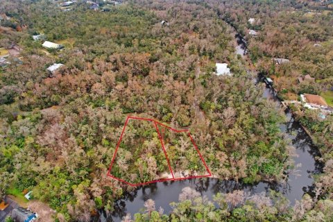 Terreno en venta en Brandon, Florida № 1567839 - foto 12
