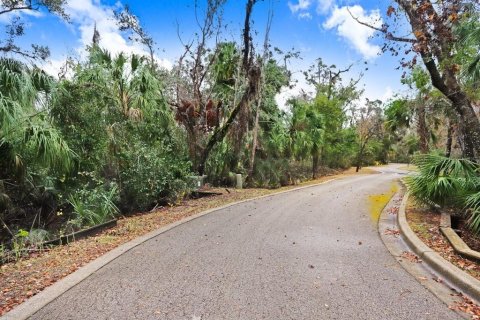 Terreno en venta en Brandon, Florida № 1567839 - foto 9