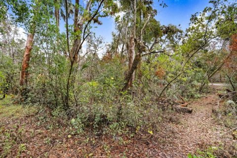 Terreno en venta en Brandon, Florida № 1567839 - foto 8