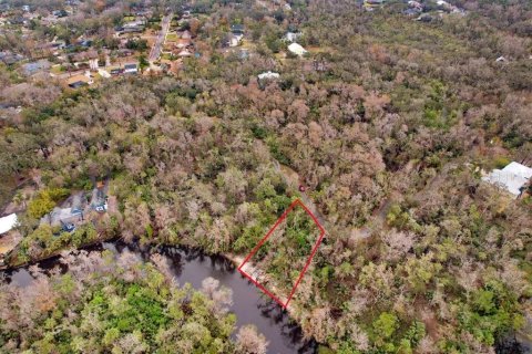 Terreno en venta en Brandon, Florida № 1567839 - foto 5
