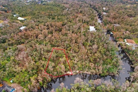 Terreno en venta en Brandon, Florida № 1567839 - foto 11