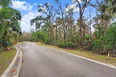 Terreno en venta en Brandon, Florida № 1567839 - foto 10