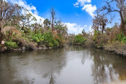 Terreno en venta en Brandon, Florida № 1567839 - foto 7