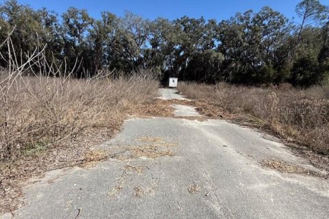 Land in Trenton, Florida № 2234986 - photo 2
