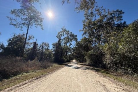 Land in Trenton, Florida № 2234986 - photo 3
